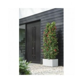 Vaso Elho 59 x 30 x 29 cm Bianco Plastica Rettangolare Moderno