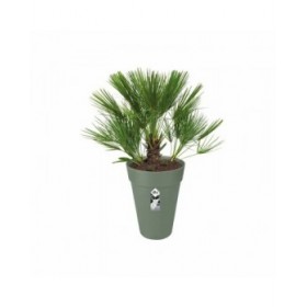 Vaso Elho Verde Ø 34 cm Plastica Rotondo Moderno