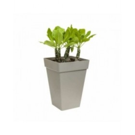 Vaso Elho Antracite polipropilene Plastica Quadrato Moderno 37 cm