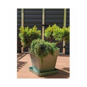 Vaso Riviera Marrone 50 x 50 cm