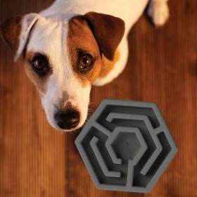 Ciotola ad Alimentazione Lenta per Animali Domestici Aikiou Grigio