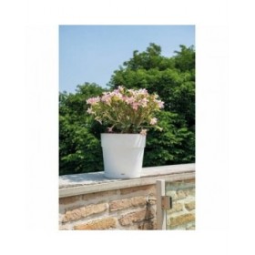 Vaso Deroma Bianco 48 x 43 cm 58 L