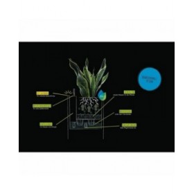 Vaso Autoirrigante Lechuza Bianco 40 x 40 x 56 cm LED