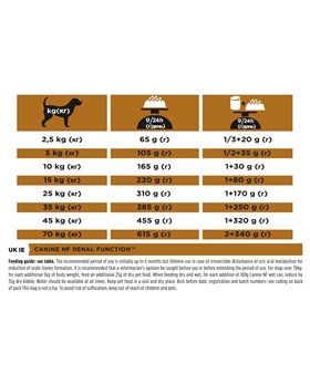 Fogli di carta vetrata Ryobi RAKQSSA10