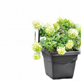 Vaso Deroma Quadrato Antracite Iniettato Ø 38 cm