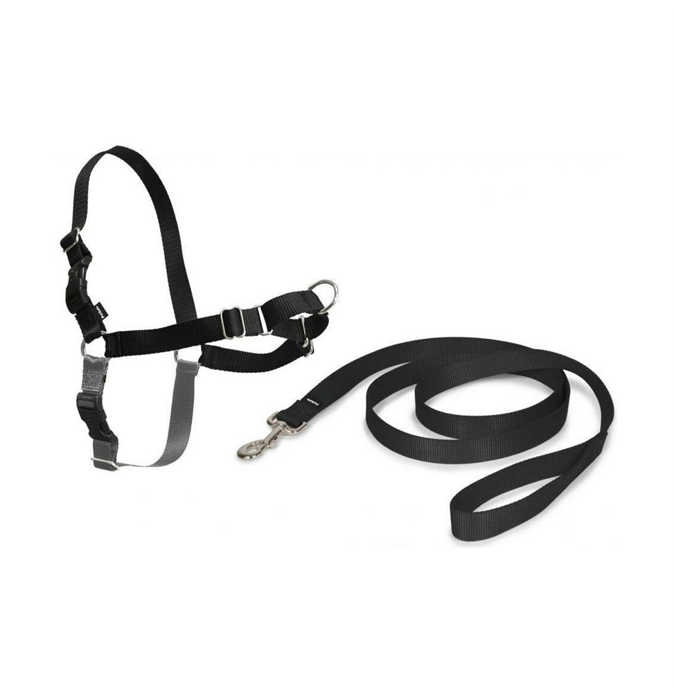 Ventilatore Ryobi RBL1820S-40F 18 V