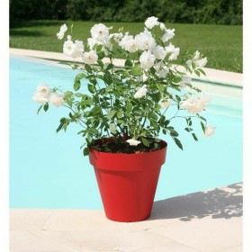 Vaso Riviera Soleilla 60 x 54 cm Rosso Intenso Rotondo Rotonda Ø 60 x 53,6 cm