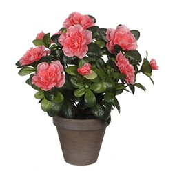 Pinze Facom 183a.20cpepb Conica