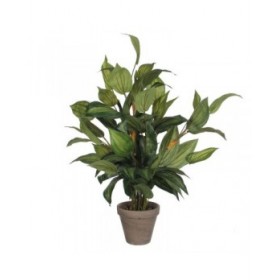 Pianta Decorativa Mica Decorations Hosta Verde PVC (15,5 x 65 cm)