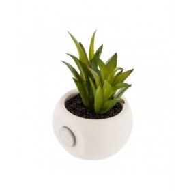Pianta Decorativa Atmosphera Calamita Verde PVC