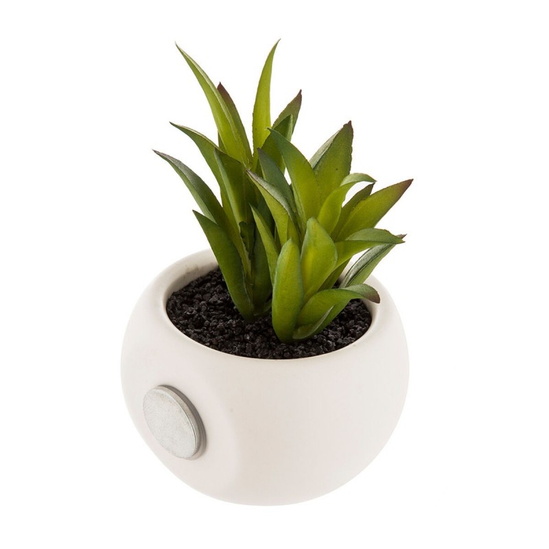 Pianta Decorativa Atmosphera Calamita Verde PVC