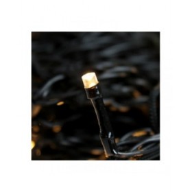 Ghirlanda di Luci LED Bianco (2 m)
