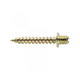 Vite CELO 100 Unità (M6 x 30 mm) (6 x 30 mm)