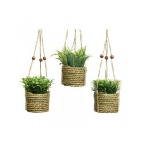 Pianta Decorativa Everlands 8 x 12 cm Ciondolo Corda Verde PVC