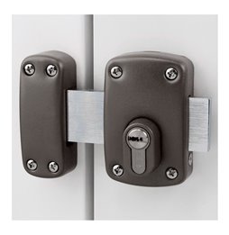 Cacciavite BOSCH GSR 12V-15 FC Professional