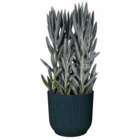 Vaso Elho   Plastica Rotonda Ø 28,5 cm