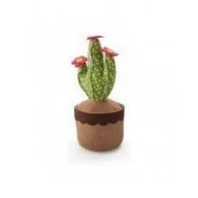 Arresto Inofix Porte Cactus Verde
