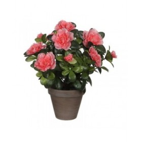 Pianta Decorativa Mica Decorations 11,5 x 27 x 20 cm