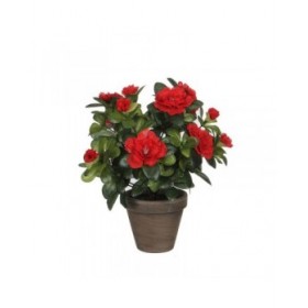 Pianta Decorativa Mica Decorations 10,5 x 21,5 x 15 cm Azalea