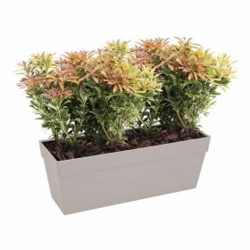 Vaso Elho Antracite Grigio scuro polipropilene Plastica Rettangolare Moderno 50 cm