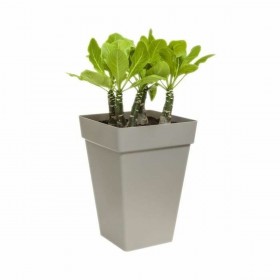Vaso Elho Antracite polipropilene Plastica Quadrato Moderno 37 cm