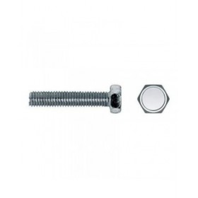 Scatola a viti CELO 6 x 10 mm M6 x 10 mm Vite di metallo 250 Unità Zincato