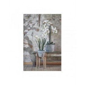 Supporto per Vaso Mica Decorations Ascot Supporto per Vaso Legno 48 x 33 x 33 cm