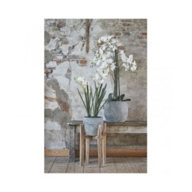 Supporto per Vaso Mica Decorations Ascot Legno 60 x 38 x 38 cm