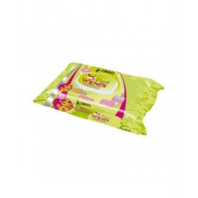 Salviettine Inumidite per Animali Domestici GILL'S XL 30 x 20 cm 40 Unità