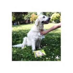 Salviettine Inumidite per Animali Domestici GILL'S XL 30 x 20 cm 40 Unità