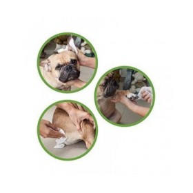 Salviettine Inumidite per Animali Domestici GILL'S XL 30 x 20 cm 40 Unità
