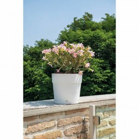 Vaso Deroma Bianco 48 x 43 cm 58 L