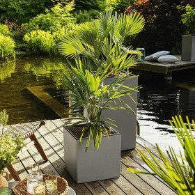Vaso Autoirrigante Lechuza Grigio 40 x 40 x 56 cm LED