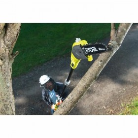 Potatore elettrico allungabile Ryobi RPP182020