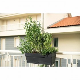 Vaso Deroma 49 cm