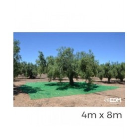 Rete EDM Raccoglitore di frutta Verde polipropilene 4 x 8 m