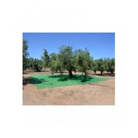 Telo protettivo Verde polipropilene (5 x 8 m)