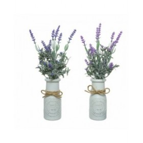 Pianta Decorativa Everlands Vaso Lavanda (Ø 13 x 32 cm)