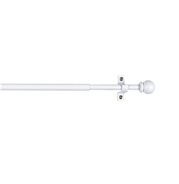 Batteria per Cellulare Apple MD837ZM/A