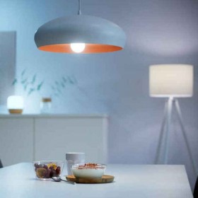 Lampadina Intelligente Ledkia A60 E27
