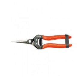 Forbici da Giardino Stocker Acciaio forgiato 19 cm Raccoglitore di frutta e verdura Uva