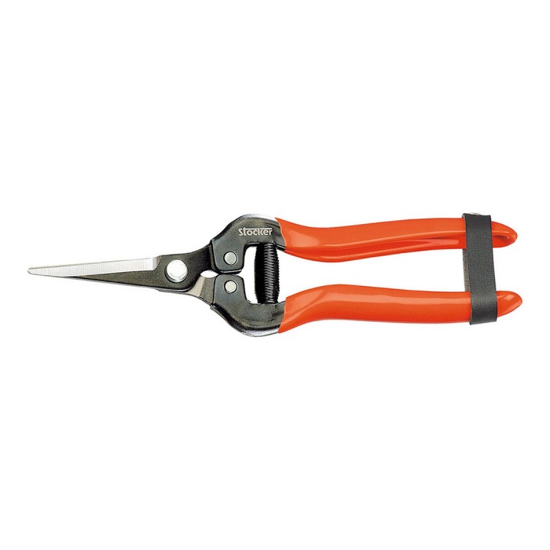 Forbici da Giardino Stocker Acciaio forgiato 19 cm Raccoglitore di frutta e verdura Uva