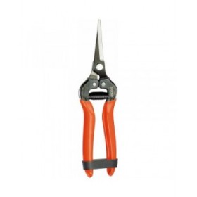 Forbici da Giardino Stocker Acciaio forgiato 19 cm Raccoglitore di frutta e verdura Uva