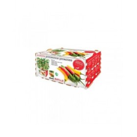 Set di coltivazione Batlle Peperoni Piccante 30 x 19,5 x 16,2 cm