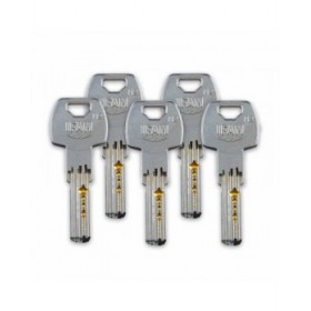 Chiavistello di sicurezza IFAM CS88L M50 Acciaio Ottone