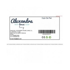 Cuscino Alexandra House Living Bianco Nero Pelle 10 x 48 x 48 cm