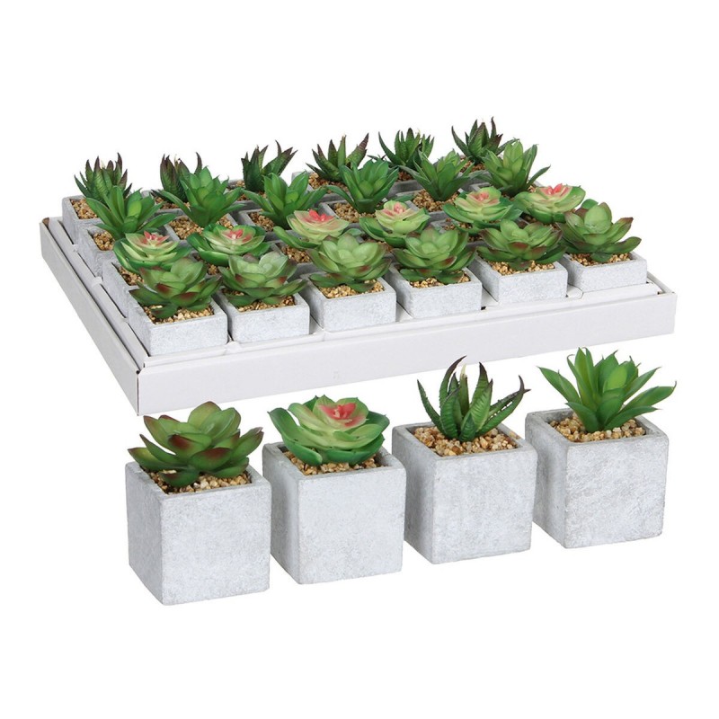 Pianta Decorativa Mica Decorations 8 x 5 cm Verde PVC Succulenta