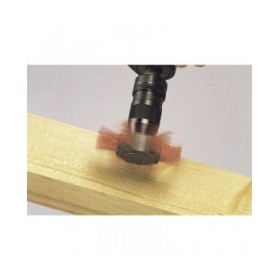 Spazzola a tazza Wolfcraft 1512000 100 x 20 mm Nylon