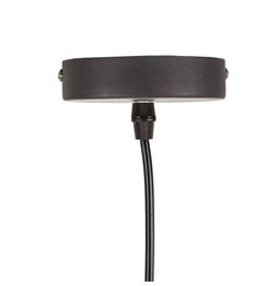 Scatola a viti CELO Ø 5,5 mm 5,5 x 25 mm 25 mm Vite per lamiera 250 Unità Zincato