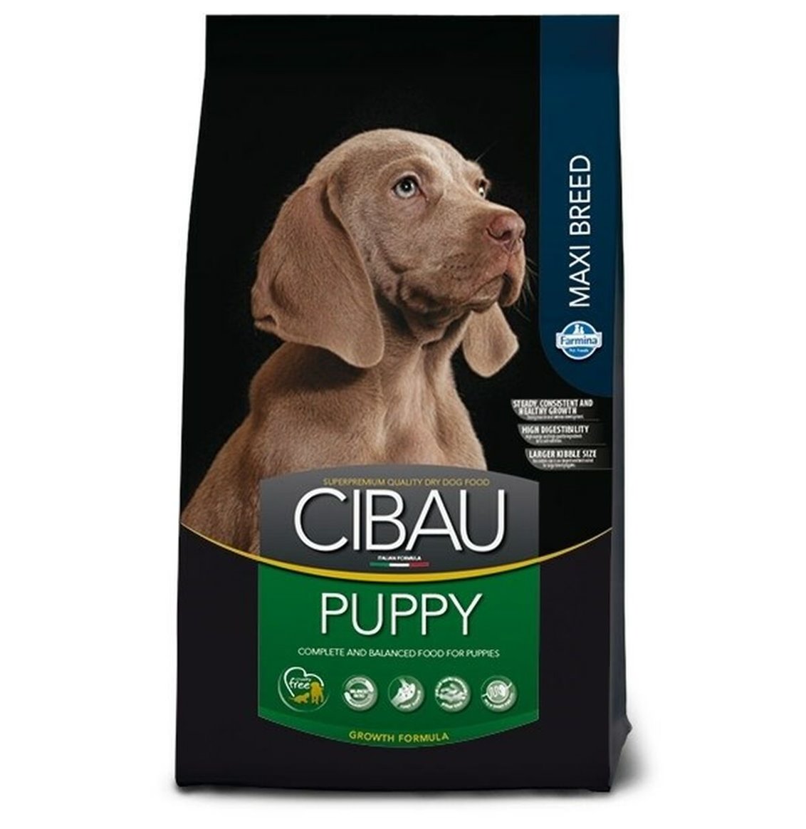 Imbracatura per Animali Domestici Nayeco x-trm 35-60 x 1,5 cm Azzurro